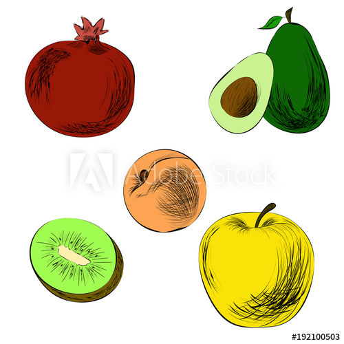 500x500 Hand Drawn Fruits In Color Pencil Drawing Pomegranate, Apple