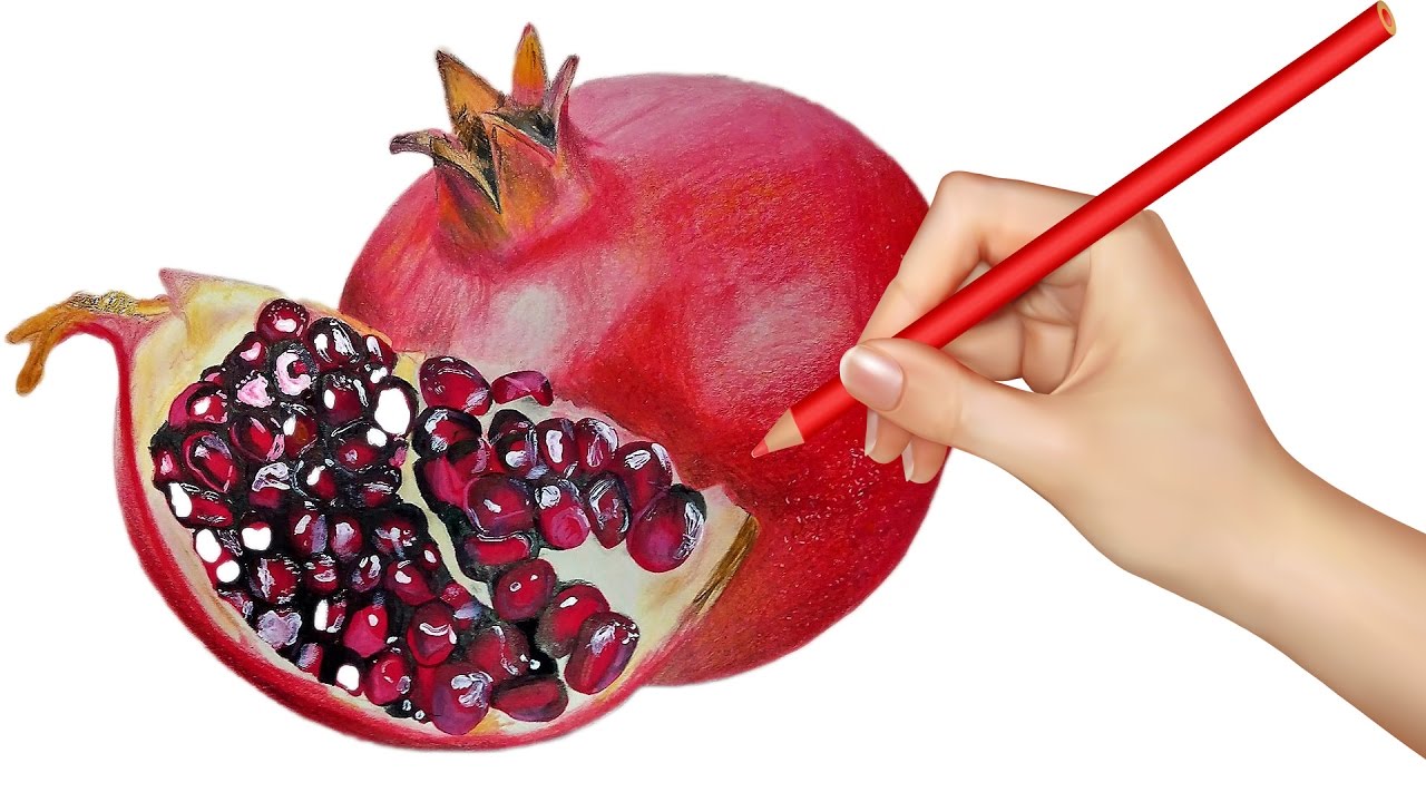1280x720 How To Draw And Colour A Pomegranates