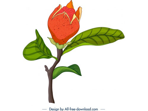 500x375 Natural Drawing Pomegranate Bud Leaves Icons Vector Graphics