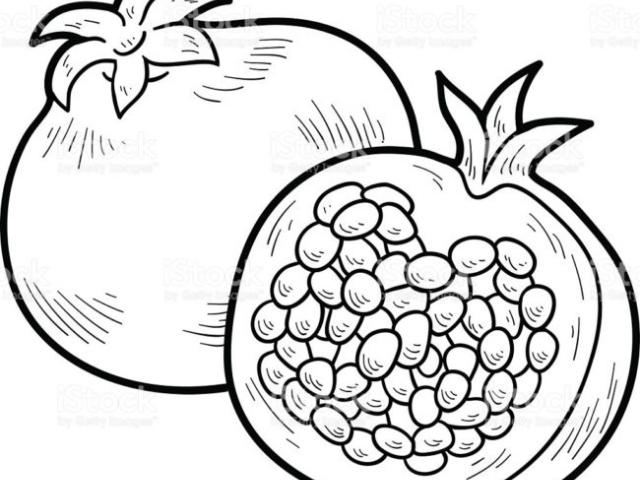 640x480 Pomegranate Clipart Drawing