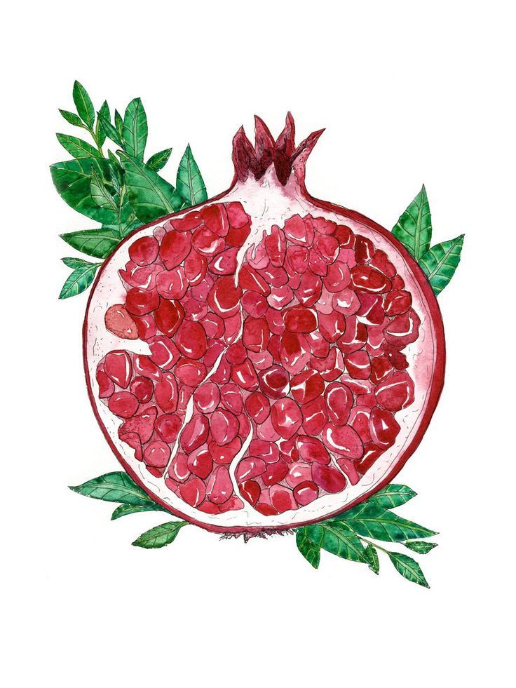 736x981 Pomegranate Fruit Watercolor Art Print Red + Pink Food Art