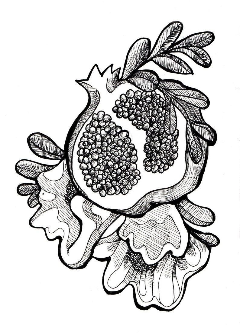 794x1099 pomegranate print elegant printpomegranate art elegant art etsy