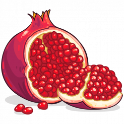 250x250 Pomegranate Png Drawing, Picture