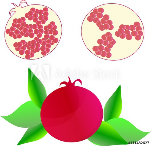 500x486 Red Pomegranate, Green Leafs On White Background, Hand Drawing