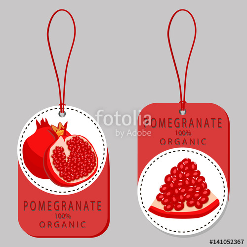 500x500 Vector Illustration Logo For Whole Ripe Fruit Red Pomegranate,cut