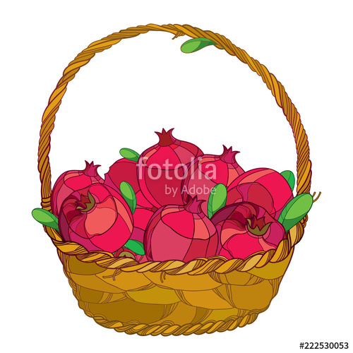 500x500 vector wicker basket with outline whole pomegranate fruit