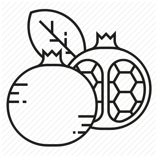 512x512 Collection Of Free Pomegranate Drawing Outline Download On Ui Ex