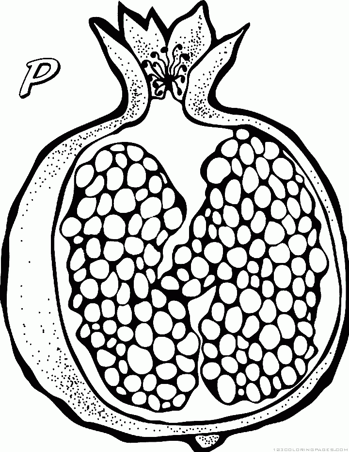 720x930 fruity boogey illustrate pomegranate drawing, drawings