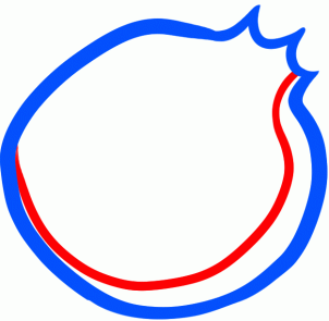 302x295 How To Draw How To Draw A Pomegranate