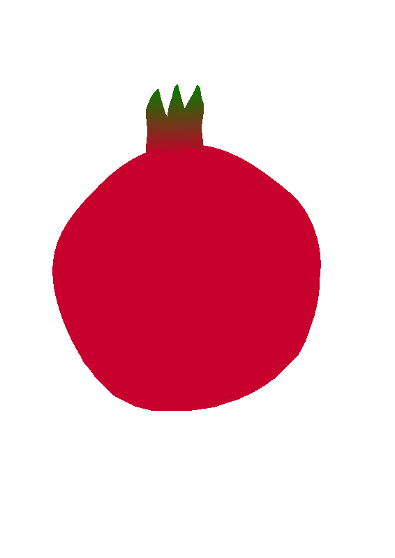 566x800 Pomegranate Drawing Transparent Png Clipart Free Download