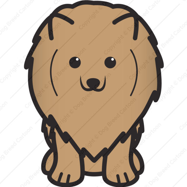 600x600 Collection Of Free Pomeranian Drawing Clipart Download On Ui Ex