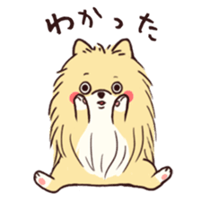 224x224 Collection Of Free Pomeranian Drawing Colored Download On Ui Ex