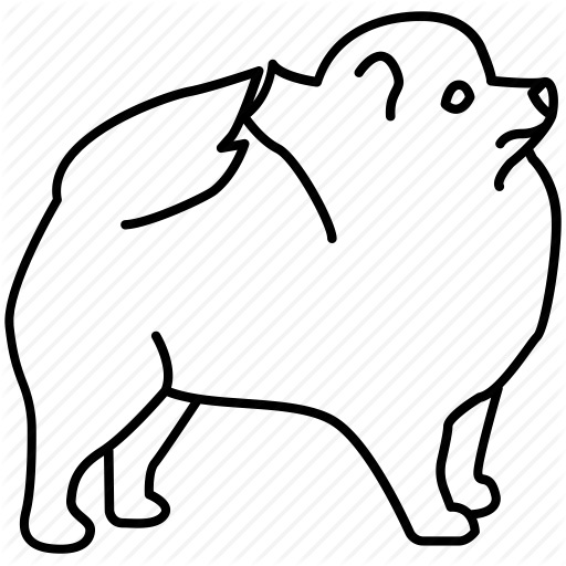 512x512 Cute, Dog, Fluffy, Indoor, Pet, Pomeranian, Spitz Icon