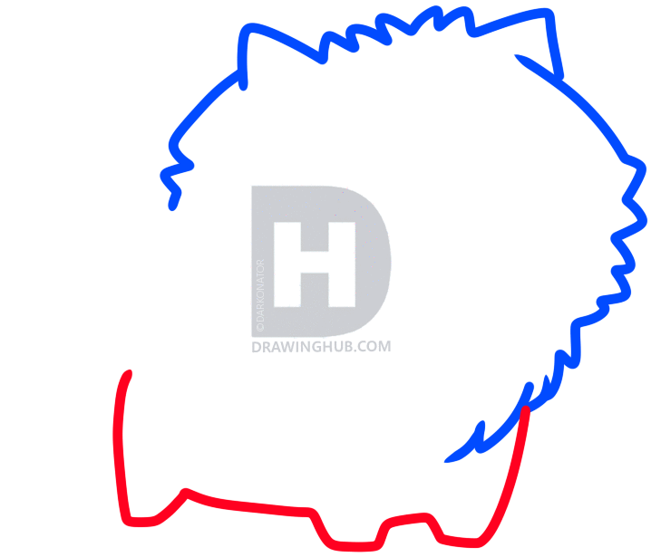 718x615 How To Draw A Pomeranian Puppy, Step