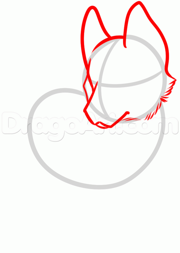 610x855 How To Draw A Pomeranian Face