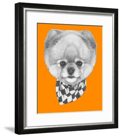 398x450 Original Drawing Of Pomeranian Dog With Scarf Isolated On Colored