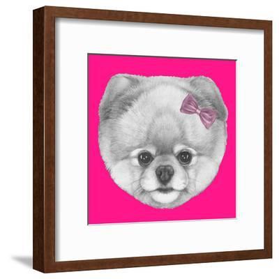 400x400 Original Drawing Of Pomeranian With Pink Bow Isolated On Colored