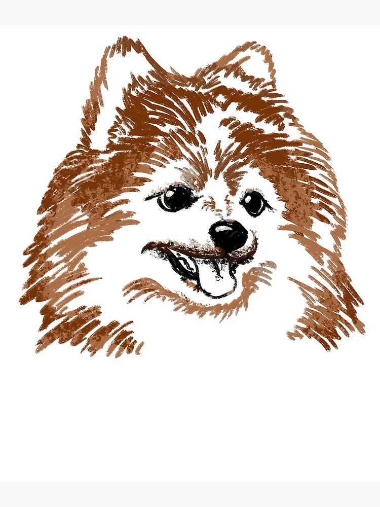 750x1000 Pomeranian Dog Canvas Print