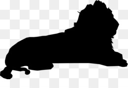 260x180 Pomeranian Drawing Png