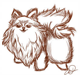264x250 Sketch Pomeranian