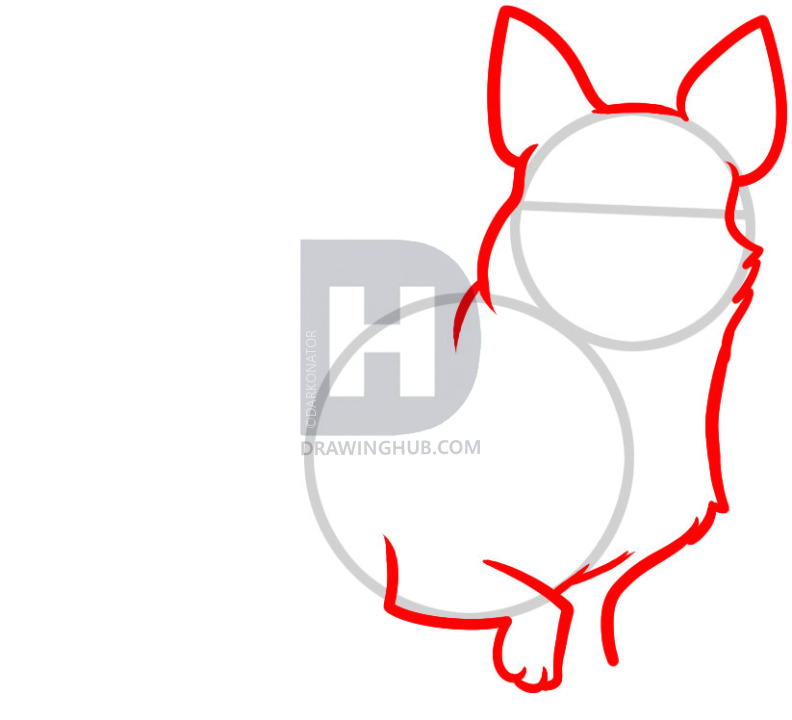 792x720 How To Draw A Corgi, Corgi, Step