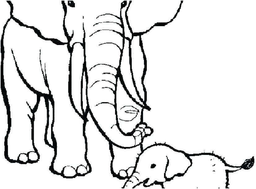 827x609 Pomeranian Puppy Coloring Pages Baby Cute Kart Related Post