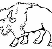 181x170 Vibrant Ideas Pomeranian Coloring Pages