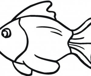 300x250 Archive With Tag Fish Outlines Sweet Sardinia Fish Outlines