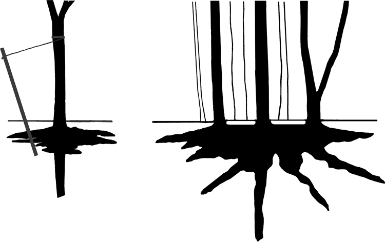 750x474 Oplontis Villa