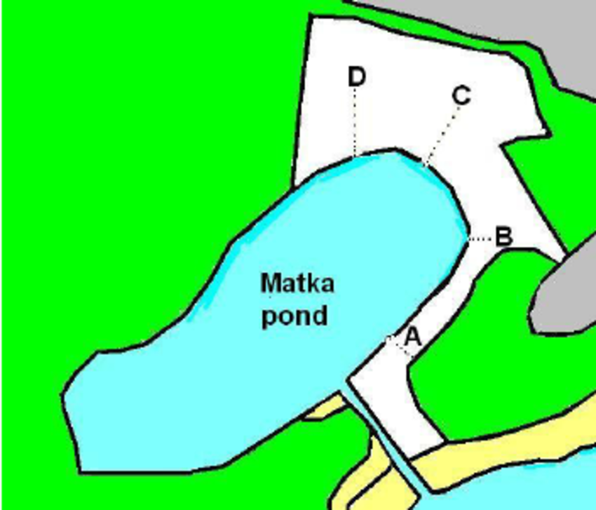 850x727 Drawing Of Line Transects A D, Blue Matka Pond