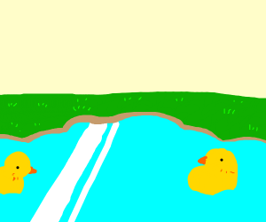 300x250 ducklings in a pond