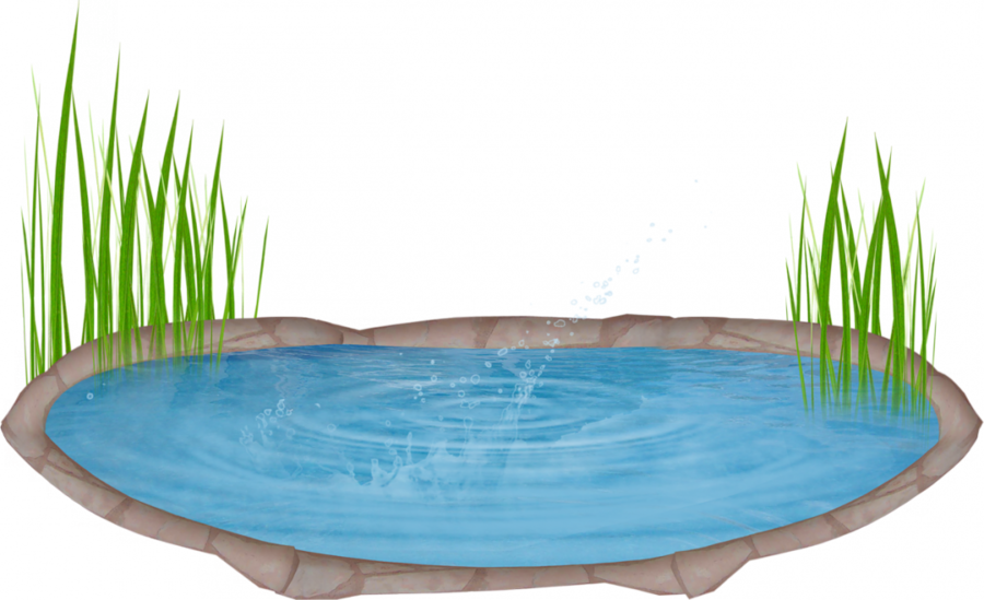 900x549 Lake, Water, Grass, Transparent Png Image Clipart Free Download