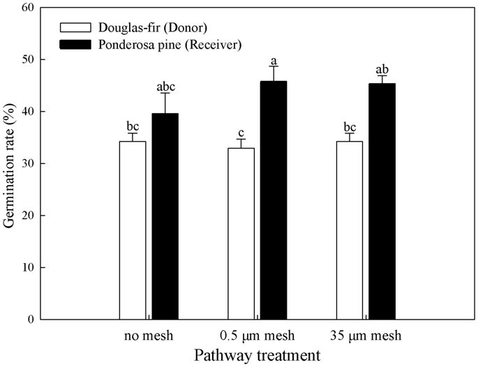 685x526 Defoliation Of Interior Douglas Fir Elicits Carbon Transfer