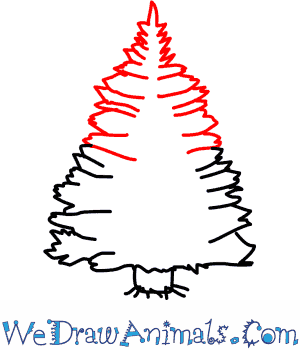 300x350 How To Draw A Pine Tree