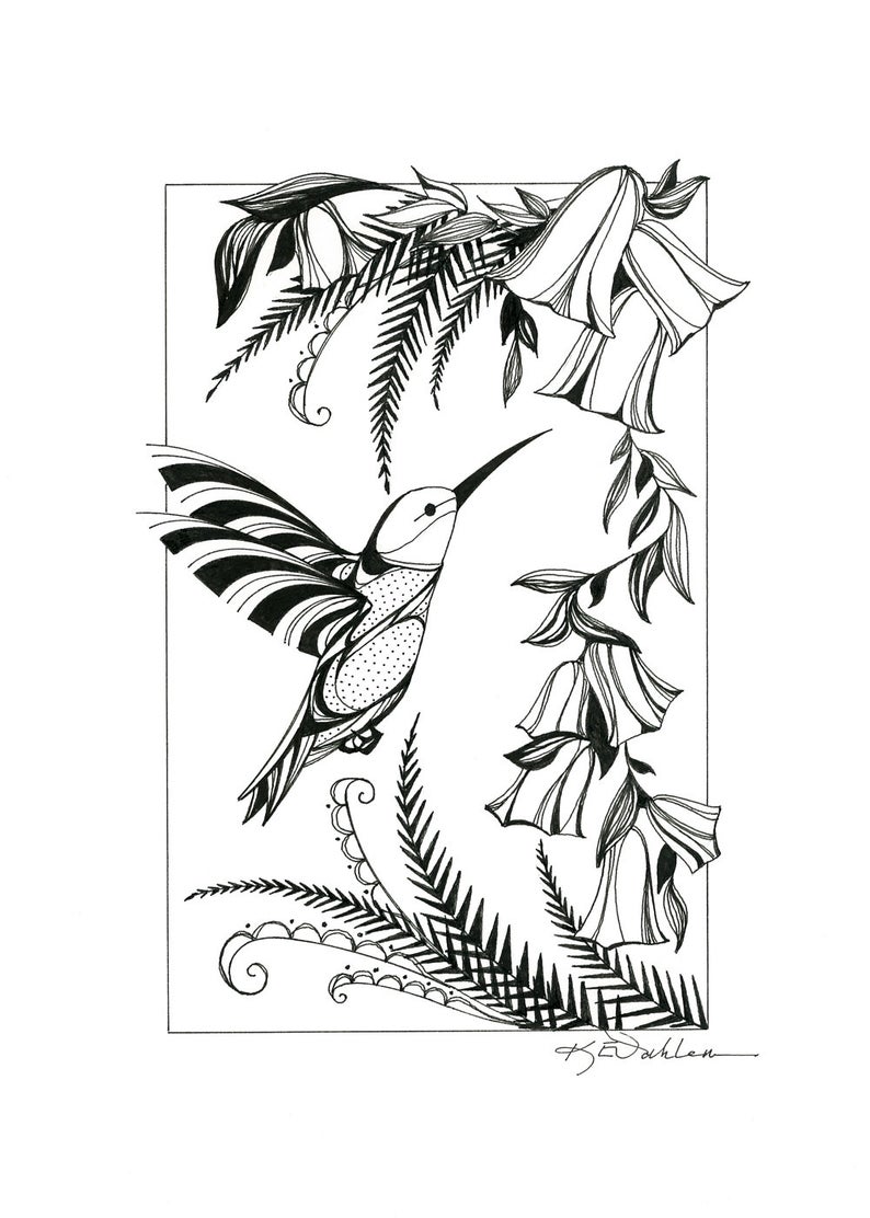 794x1112 Hummingbird Pen And Ink Drawing Hand Painted Print Etsy