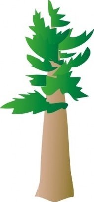 190x407 Ponderosa Pine Clip Art Download Clip Arts