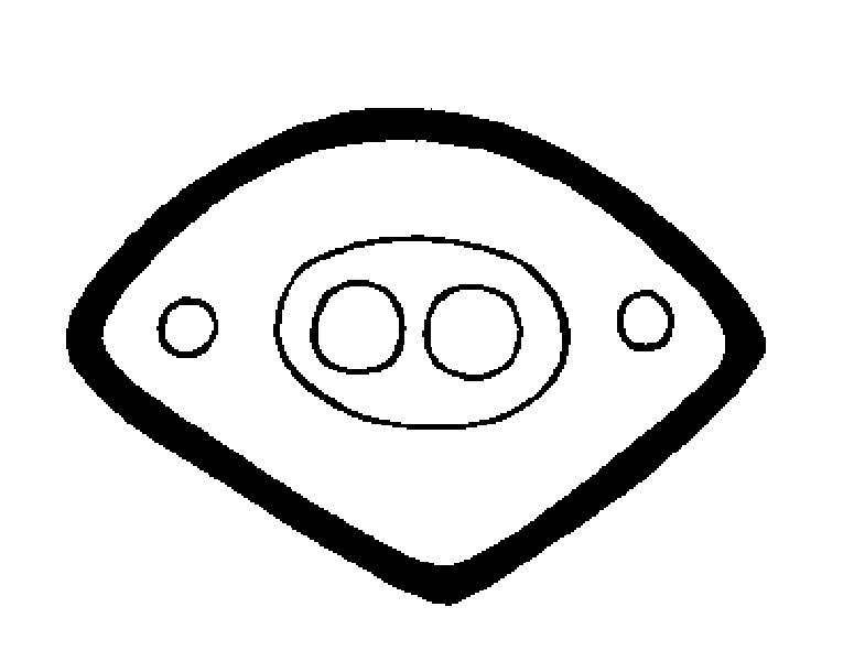 785x600 Ponderosa Pine