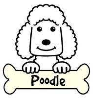 Poodle Cartoon Drawing