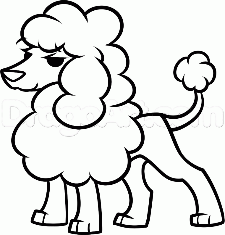 761x794 Poodle Drawing Sketch For Free Download