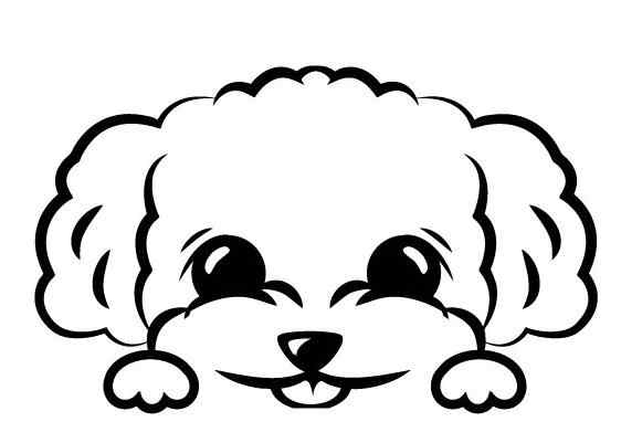 562x401 Detail Feedback Questions About Chira Sticker Toy Poodle Peeks Out
