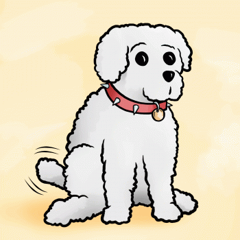 350x350 How To Draw A Miniature Poodle, Step