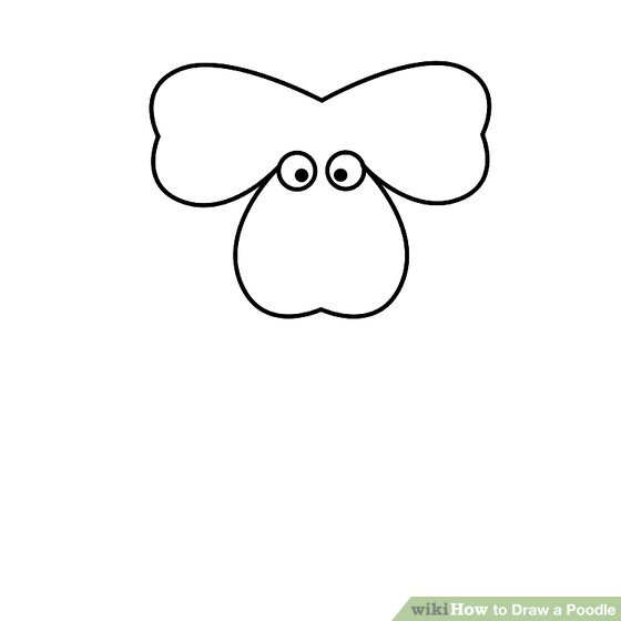 560x560 How To Draw A Poodle