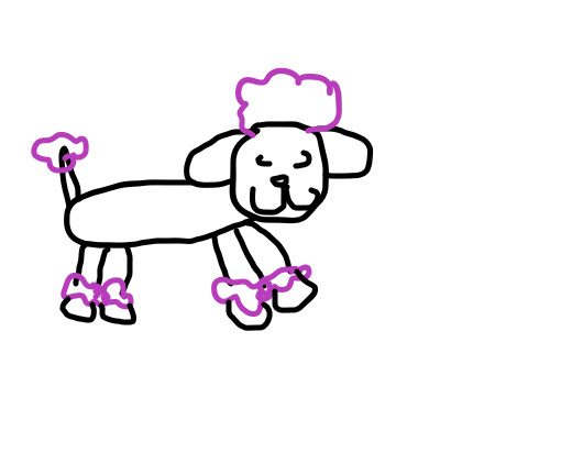 520x432 How To Draw A Poodle