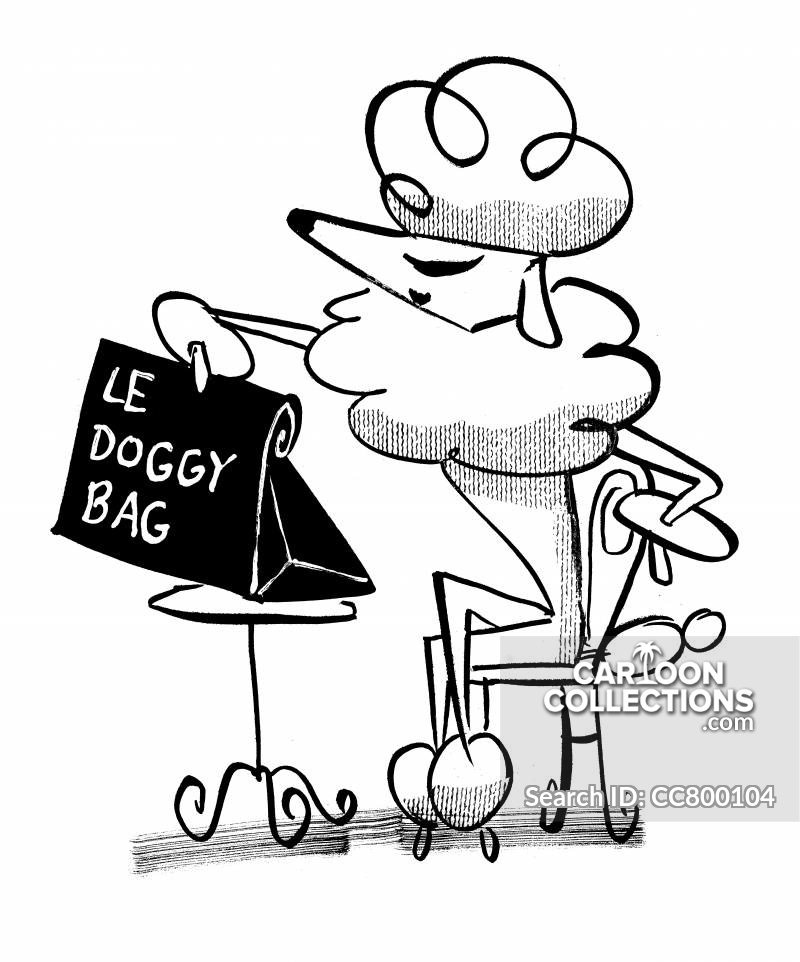 800x962 Poodle Cartoons And Comics