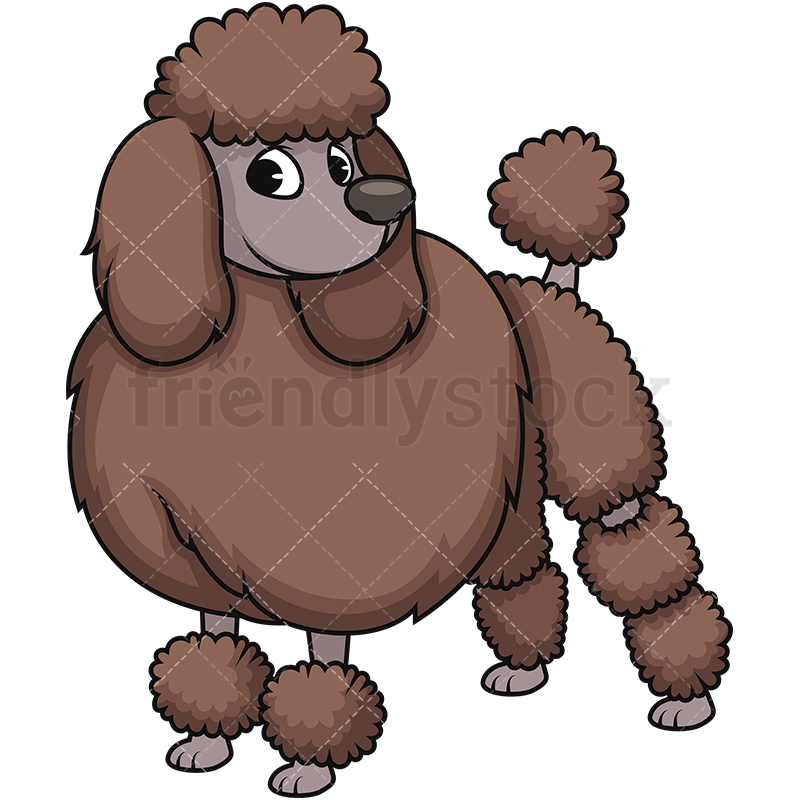 800x800 Stylish Groomed Poodle Cartoon Vector Clipart