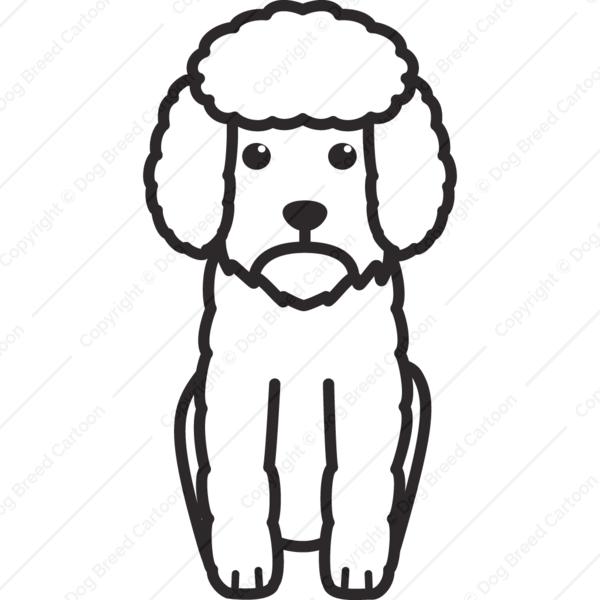 600x600 Toy Poodle Dog Breed Cartoon Download Now!