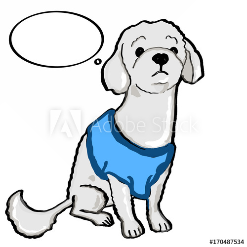 500x500 Blue Poodle Dog And Thinking