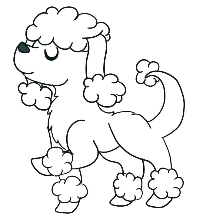 736x736 Drawing Poodles Baby For Free Download