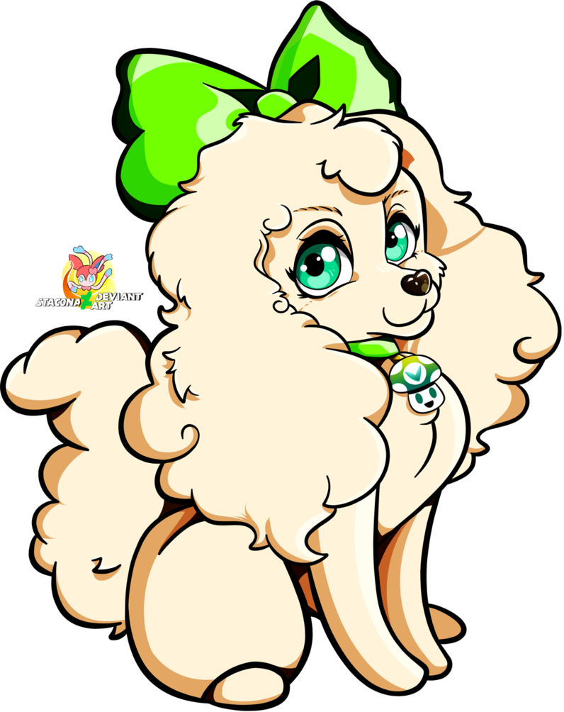 Poodle Drawing