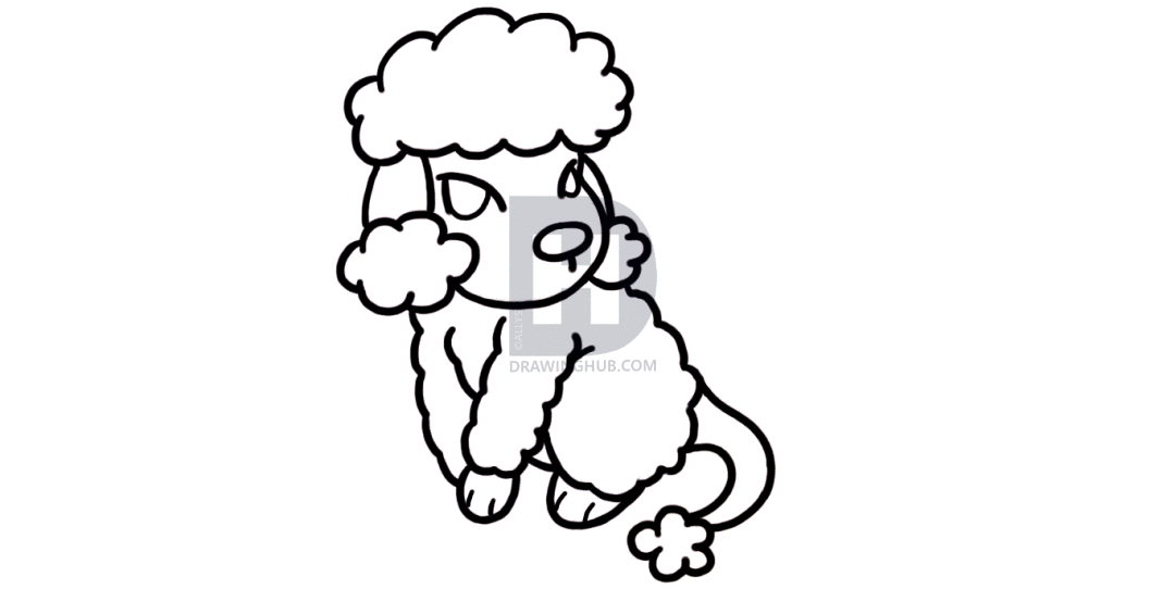 1080x542 How To Draw A Poodle For Kids, Step